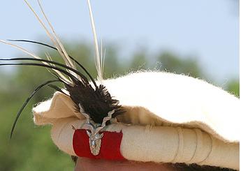 chatrali pakool